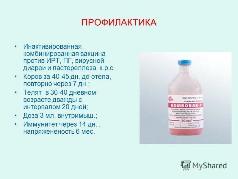 Вакцина ящурная. Вакцина ящура КРС. Вакцины и сыворотки против пастереллеза. Вакцина против ящура КРС. Вакцина пастереллеза крупного рогатого скота.