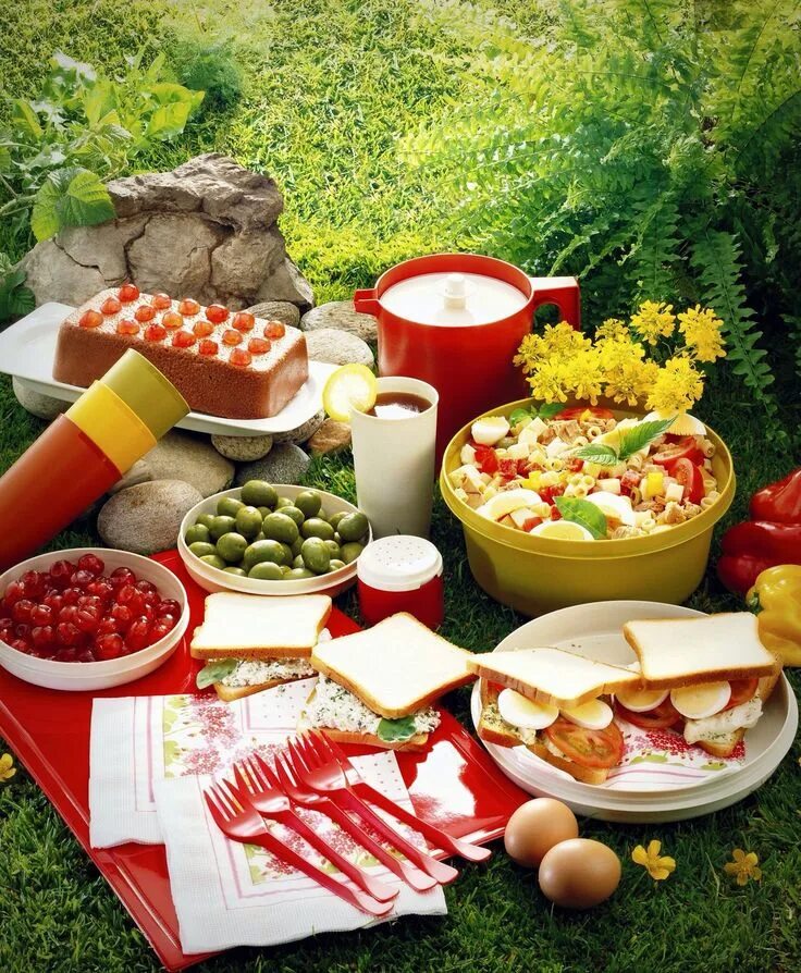 Продукты на пикник. Еда для пикника на природе. Еда на пикник летом. Еда на природе летом для пикника. Пикник едет