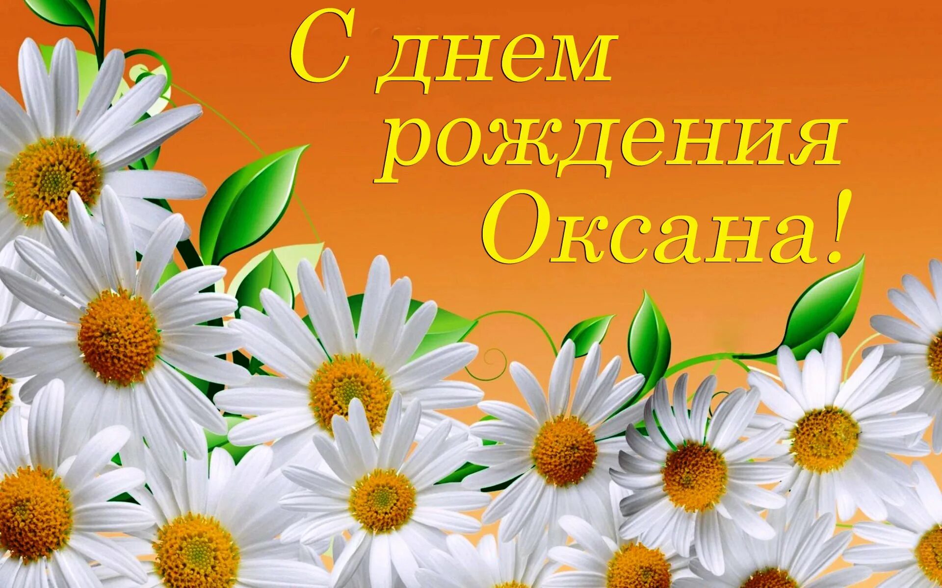 С днем рождения ксюша. Поздравления с днём рождения Оксане. Красивые ромашки на рабочий стол. С днём рождения Оксана открытки. С днём рождения ЯОКСАНА.