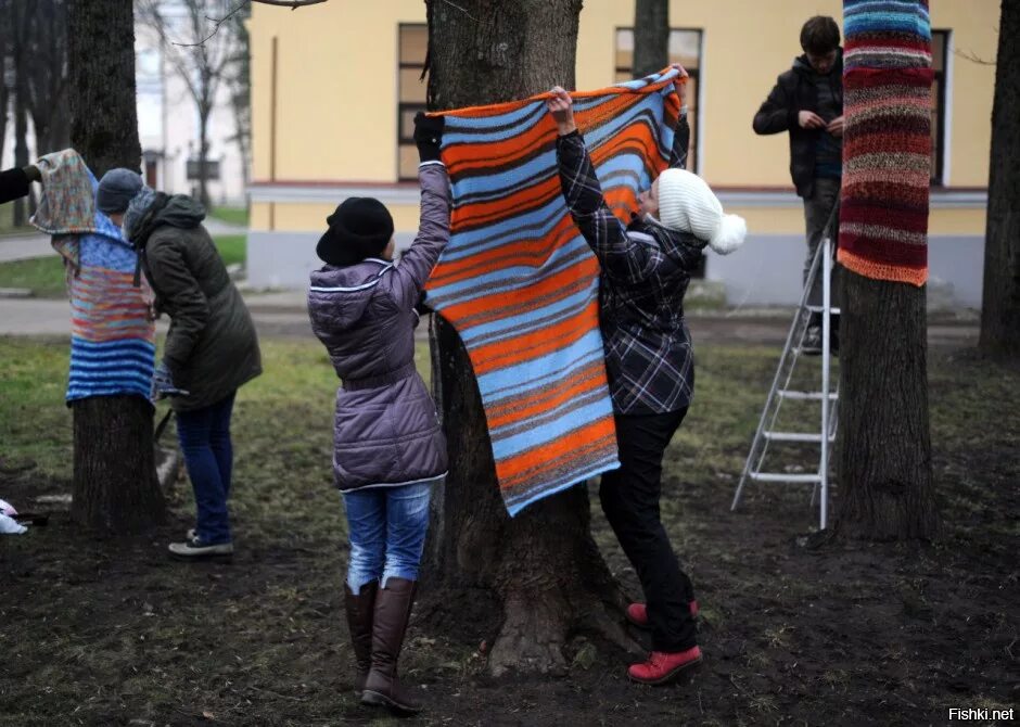 Новгородские активисты "одели" деревья в кремле в вязаную одежду