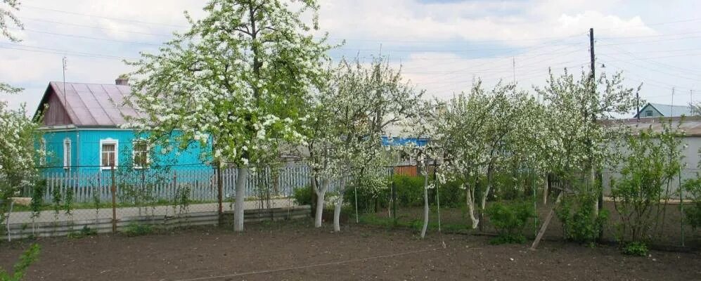 Погода дегтевая краснинский липецкая. Погода дегтевая краснинский липецкая. Корытное липецкая область. Храм калабино задонск. Погода дегтевая краснинский липецкая.