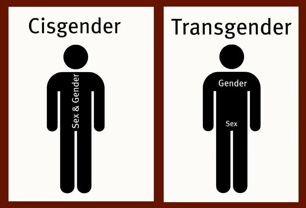 У человека есть пол. Цисгендер. Цисгендер мужчина. Цисгендер и трансгендер. Цис мужчина.