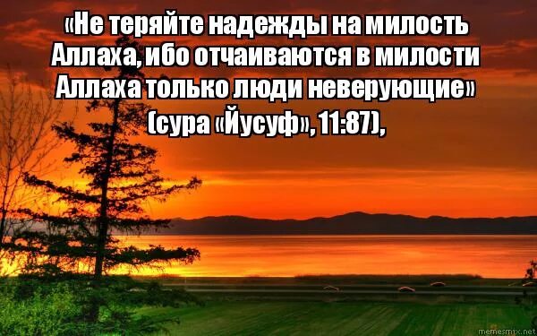 не терять надежду. никогда не теряй надежду и веру в лучшее. никогда не теряйте надежды на милость аллаха. всевышний помоги мне. не потерявший надежду не потерян.