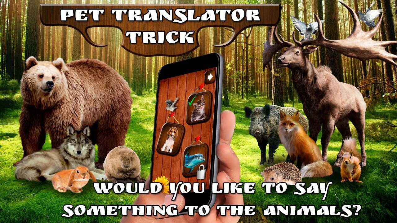 Animals translate