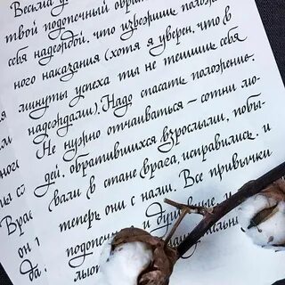 Факт 2 письмо