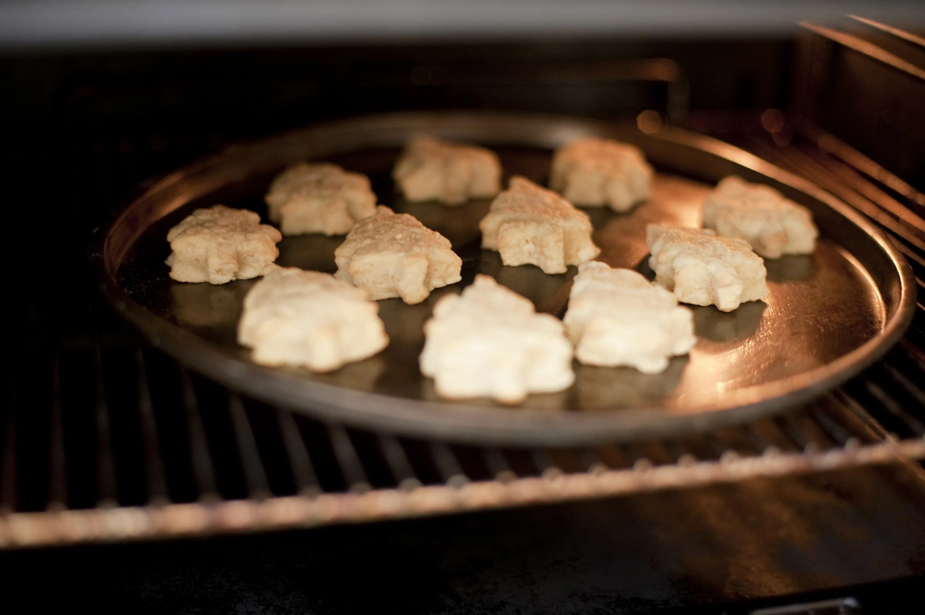 Cookies in Oven. Pastry Baking inside Oven. Oven inside. How to Cook cookies.