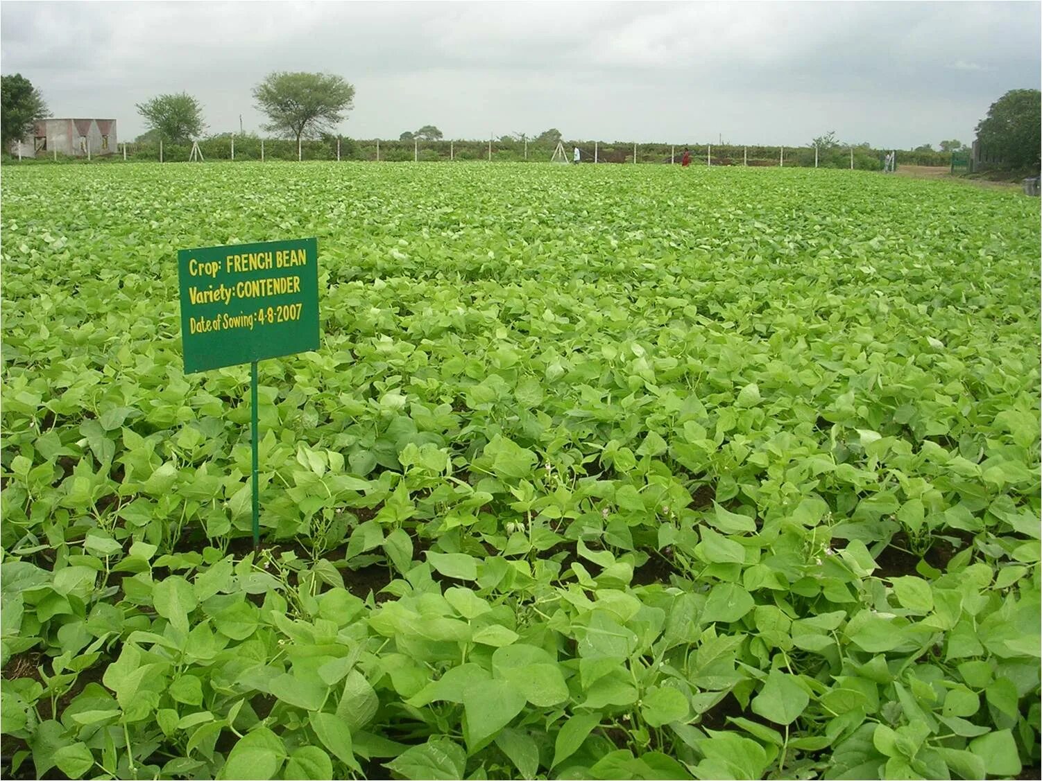 Agricultural research journal