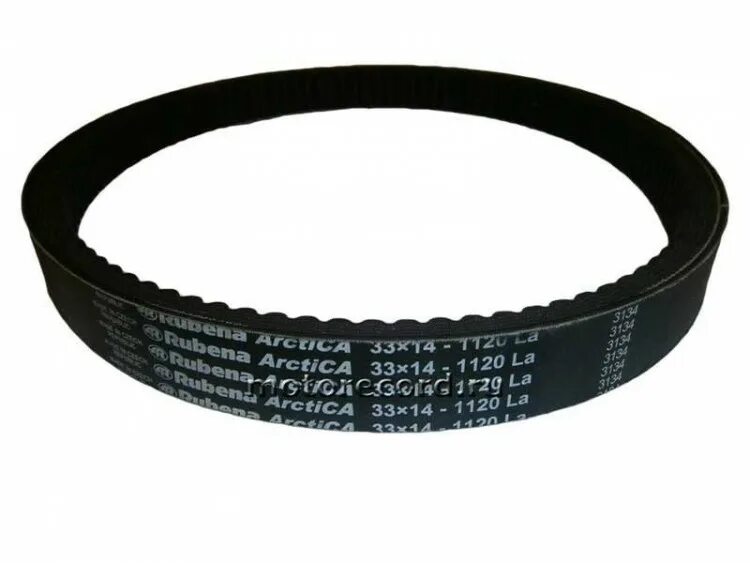 Ремень рысь 440. Ремень вариатора Rubena 33х14х1120. Ремень вариатора 33x14x1120 Optibelt. Gates 28g4266 ремень вариатора. Ремень Рубена 33х14х1120 вариатора сафари.