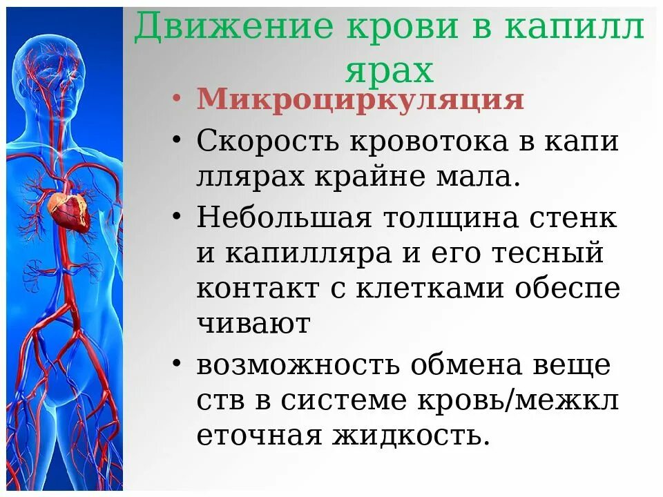 Какие изменения происходят в капиллярах