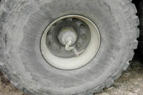 Шины без подкачки