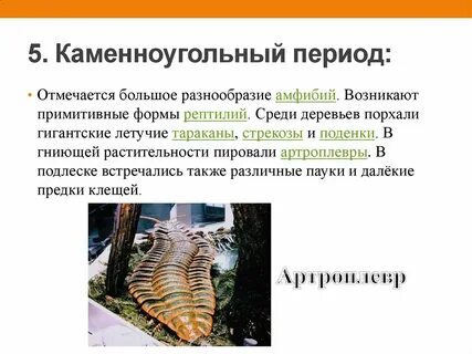 Примитивные формы
