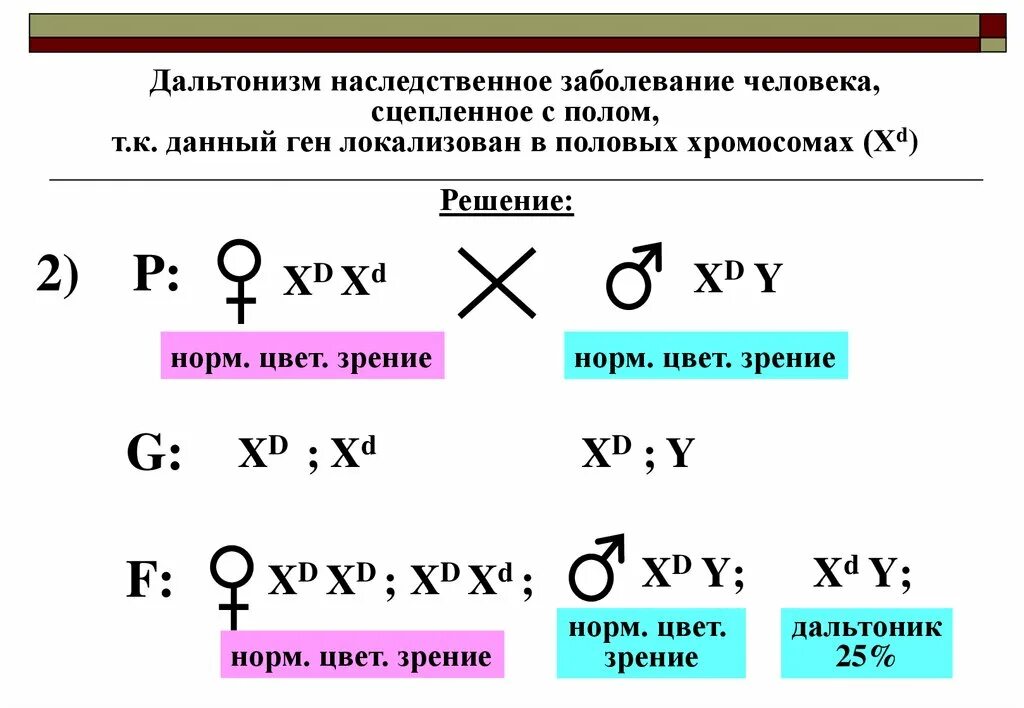 Ген дальтонизма локализован в х