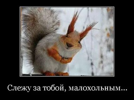 Заходи попозже
