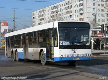 Сколько автобусов волжском