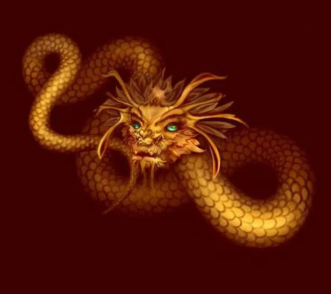 Совместимость огненной змеи. Золотой дракон змей. Гивр дракон. Золотой китайский змей дракон. Дракон золотой дракон золотой дракон золотой дракон золотой дракон.