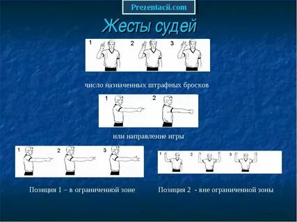 Том числе назначаемую
