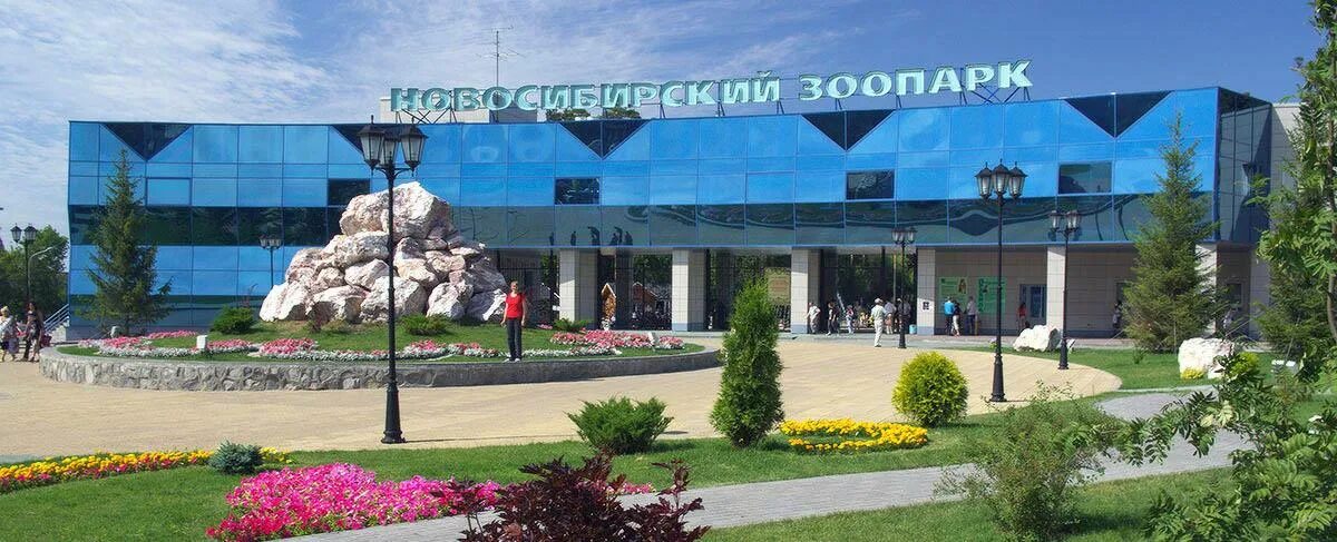 Новосибирск улица тимирязева 71/1 новосибирский зоопарк имени ра шило. Шило, новосибирск. А шило. Новосибирский зоопарк сейчас. Новосибирский зоопарк фото.