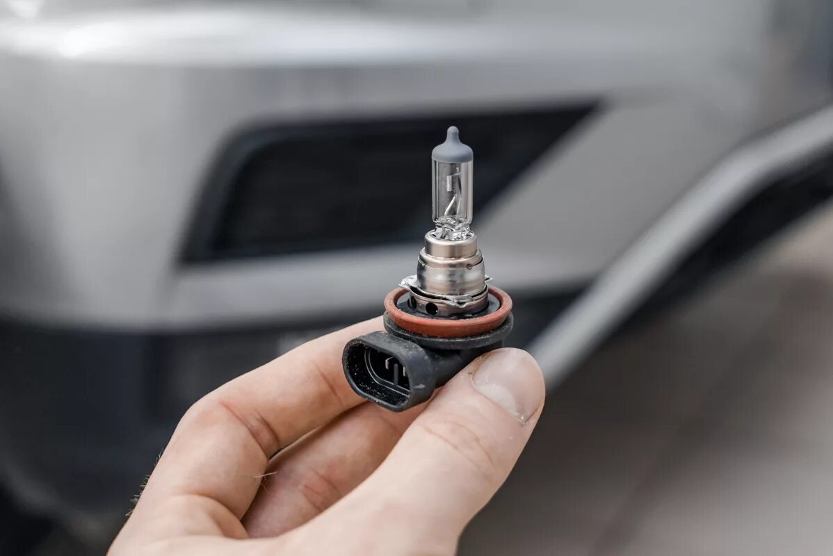 Лампа ближнего света фольксваген тигуан 2013. Какие лампы тигуан 2012. Лампа ближнего света фольксваген тигуан 2016. Какие лампы тигуан 2012. Какие лампы тигуан 2012.