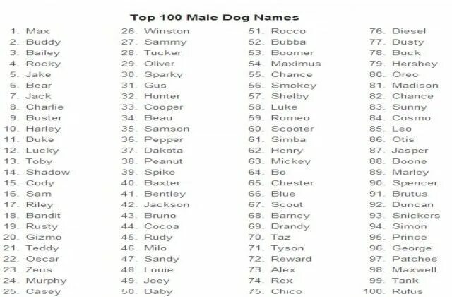 Имена для собак девочек редкие и красивые. Список имён для собаки.. Имена для щенков мальчиков русские. Имена для мальчиков щенков редкие. Клички со значением девочки