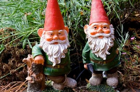 Gnomes work