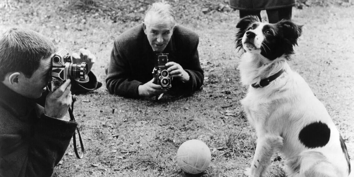 Собака облизала тарелки футболистов. Собака облизала тарелки футболистов. Человек облизывает собаку в армии. Собака лижет миску. Печальные факты о футболе.