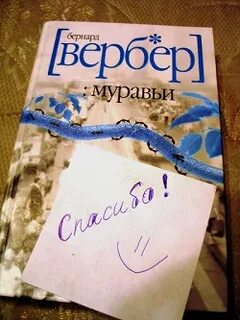 Вебер муравьи