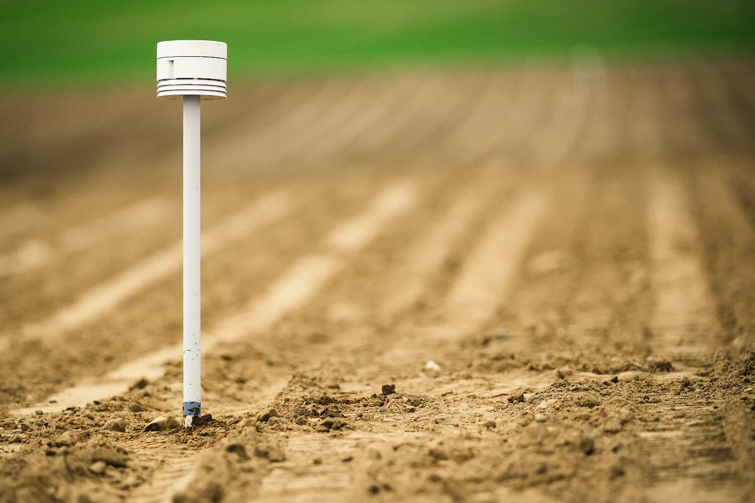 One soil. Почвенный метеодатчик. метеодатчики one soil. метеодатчик onesoil (6 почвенных сенсоров). onesoil датчик влажности почвы.