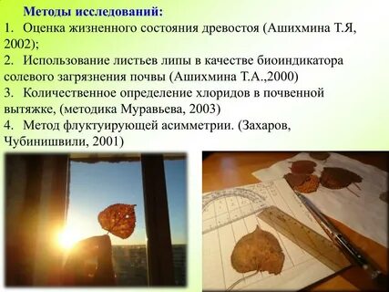 Определение состояния дерева