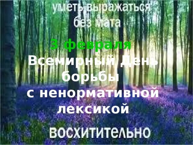 Борьба с ненормативной лексикой. День ненормативной лексики. День борьбы с ненормативной лексикой. Третье февраля день борьбы с ненормативной лексикой. Всемирный день борьбы с ненормативной лексикой в библиотеке.