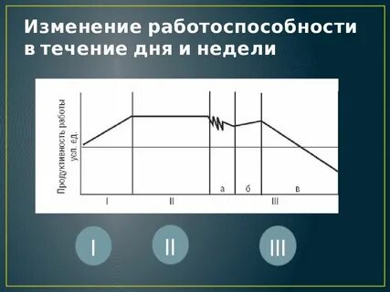 В течении рабочего дня работоспособность человека