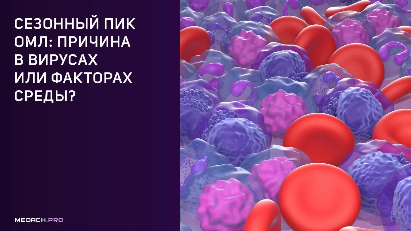 Острый миелоидный лейкоз прогноз. Острый миелобластный лейкоз. Острый миелобластный лейкоз таблица. Диагностические критерии острого миелоидного лейкоза. К острым миелоидным лейкозам относят.