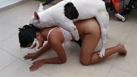 Slideshow porno con animales.