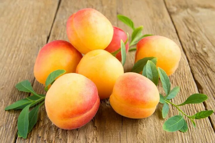 Fresh apricot fruit in closeup фотография Stock Adobe Stock