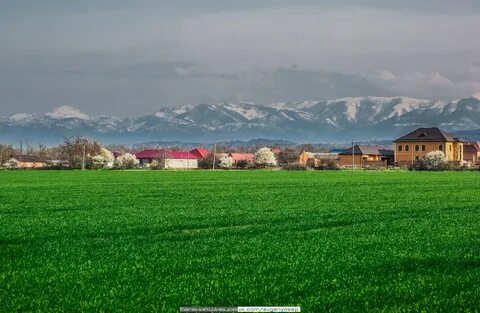 Ст нестеровская ингушетия