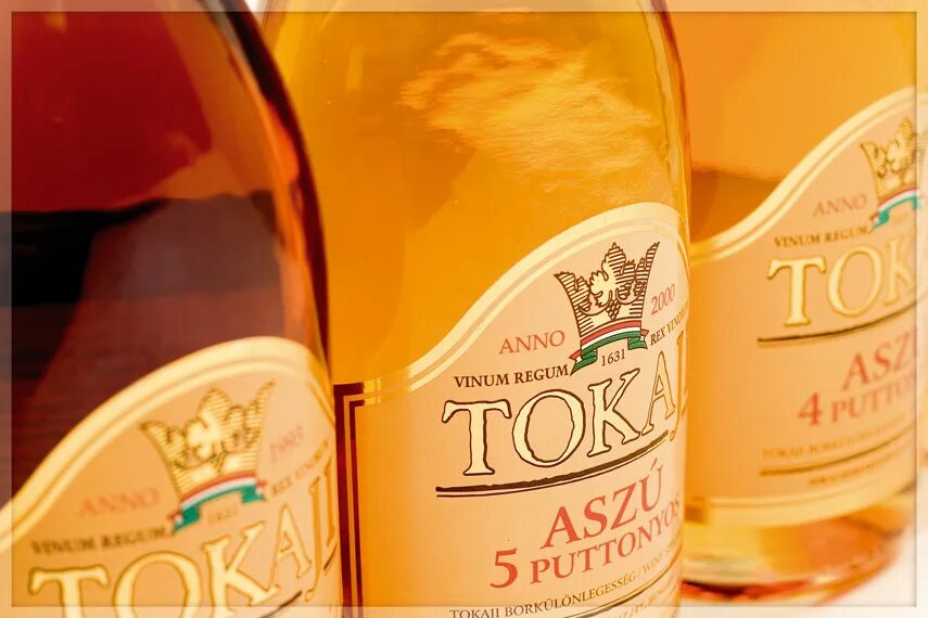 Венгерское вино Токай. Токайское вино Венгрия. Токай АСУ вино. Вино Токай Венгрия. Вино венгрия купить