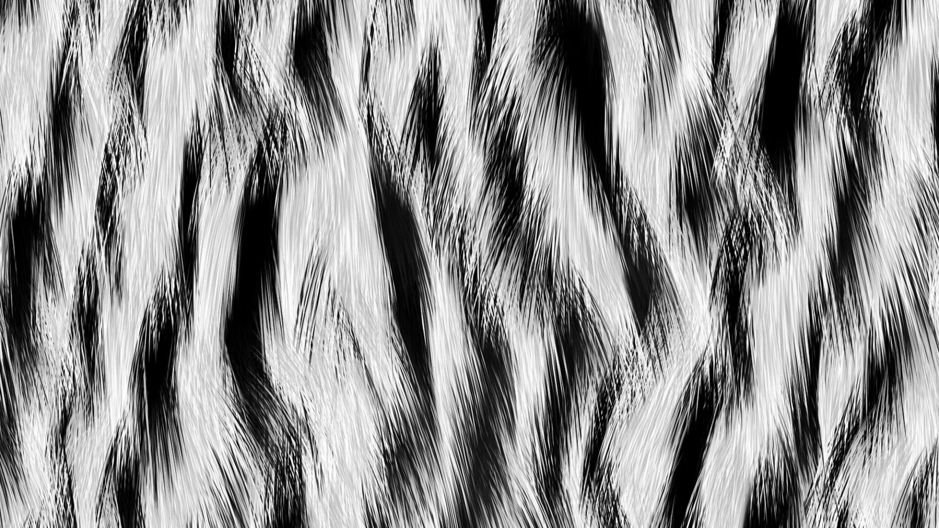 Cat texture