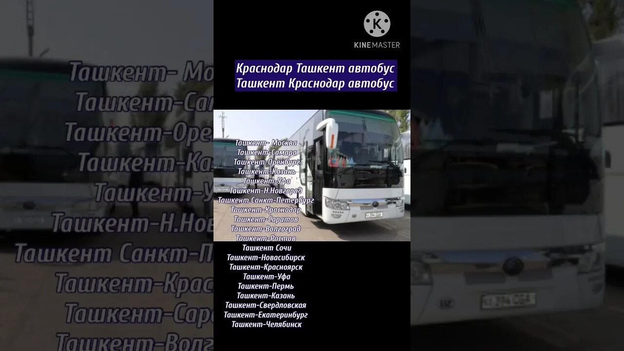 Автовокзал ростов краснодар. Краснодар Ташкент автобус. Уфа Ташкент автобус. Ozbegiston qirasnadar aftobuz. Ростов Ташкент.