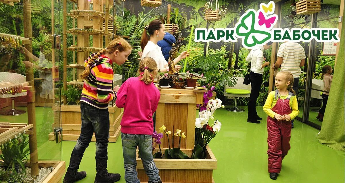 Парк бабочек, санкт-петербург, лиговский проспект. Парк бабочек санкт-петербург питерлэнд. Парк бабочек питерлэнд. Парк бабочек приморский просп 72 санкт петербург. Парк бабочек приморский просп 72 санкт петербург.