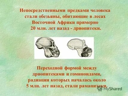 Какими воспринимал прадед людей с высоты