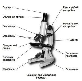 Строение микроскопа и функции его частей