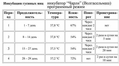 Температура инкубации куриных яиц таблица