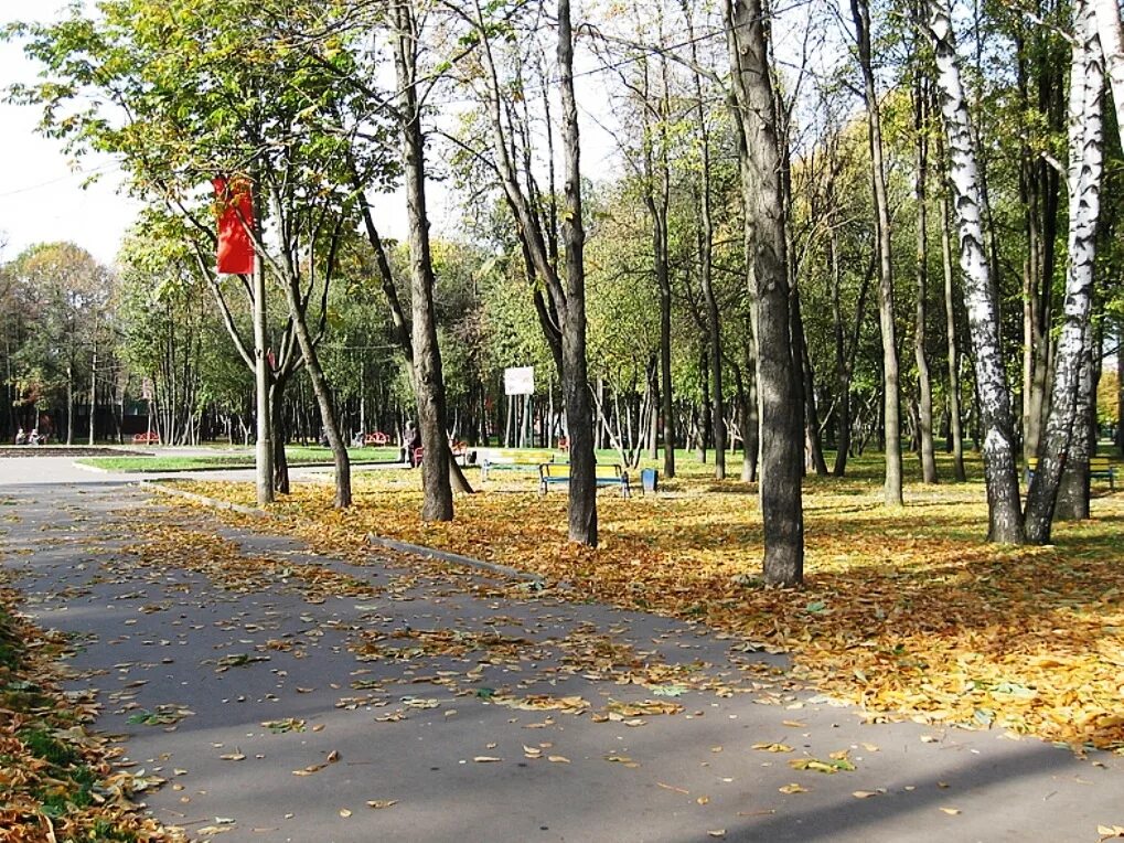 парк вопросы. беседки в парке 850 летия москвы. природа москвы. памп парк в парке 850 летия. парк 850-летия москвы.