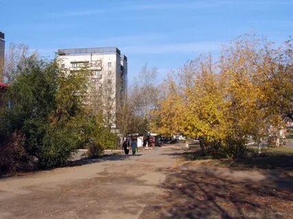 День степногорска