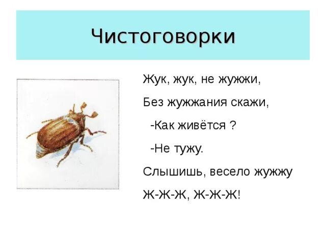 Звуки слова жук. Чистоговорка ж Жук. Чистоговорки про жука. Чистоговорки про насекомых. Жук жужжит.