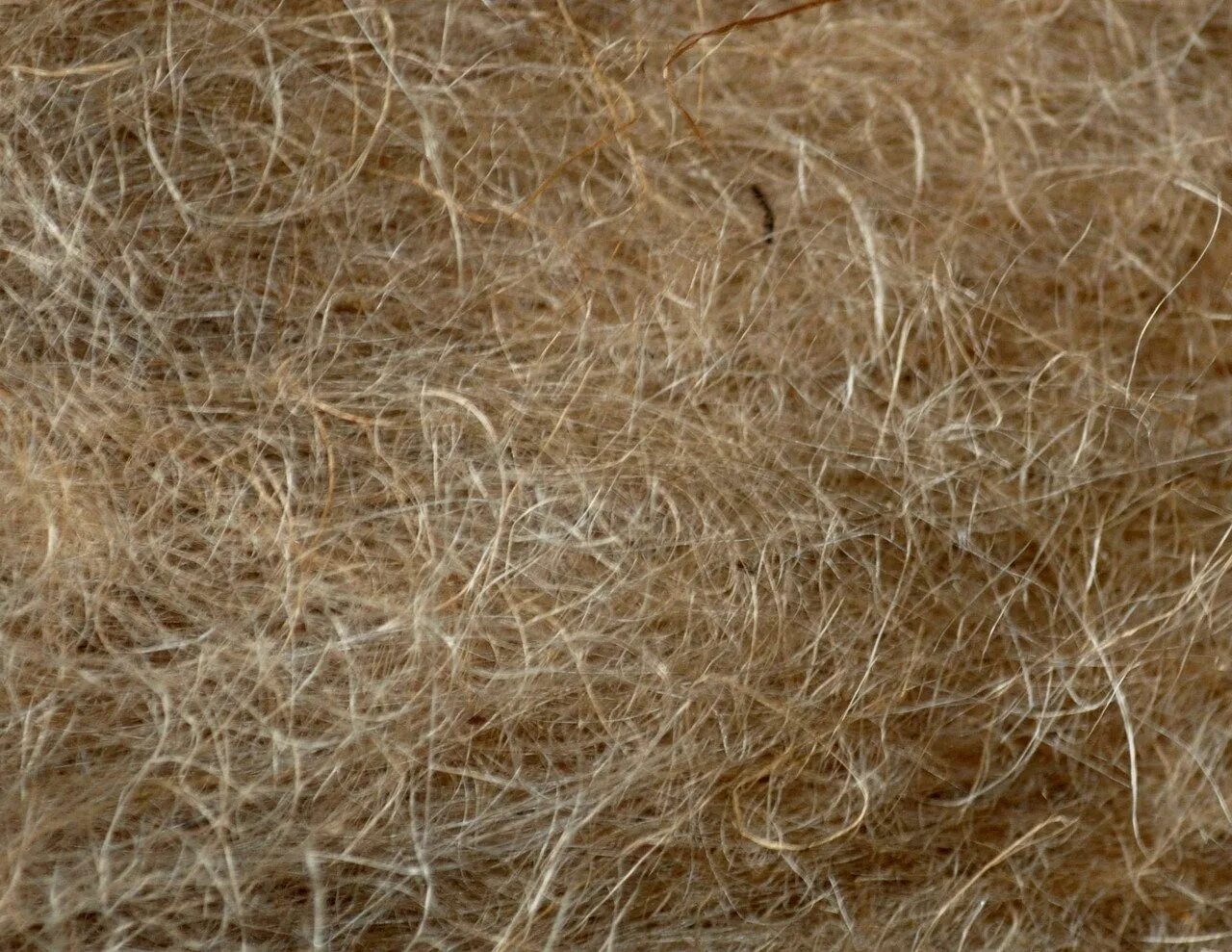 Полиамидное волокно энант. Прядильное волокно из конопли. Волокно из льна. Синтетические волокна. Натуральные волокна.