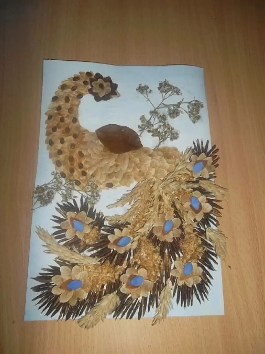 Павлин из природного материала. Жар птица из кленовых вертолетиков. птичка из природного материала. аппликация из природного материала.