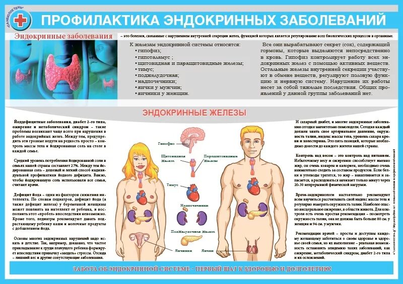 Эндокринных заболеваний тест. Профилактика болезней эндокринной системы памятка. Памятка по профилактике заболеваний эндокринной системы. Памятка при заболеваниях эндокринной системы. Санбюллетень профилактика эндокринных заболеваний.