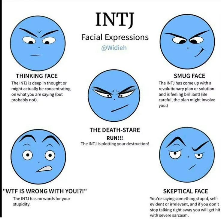 Intj a. Intj-t тип личности. intj mbti тип личности. тип личности стратег intj-a. intj мемы.