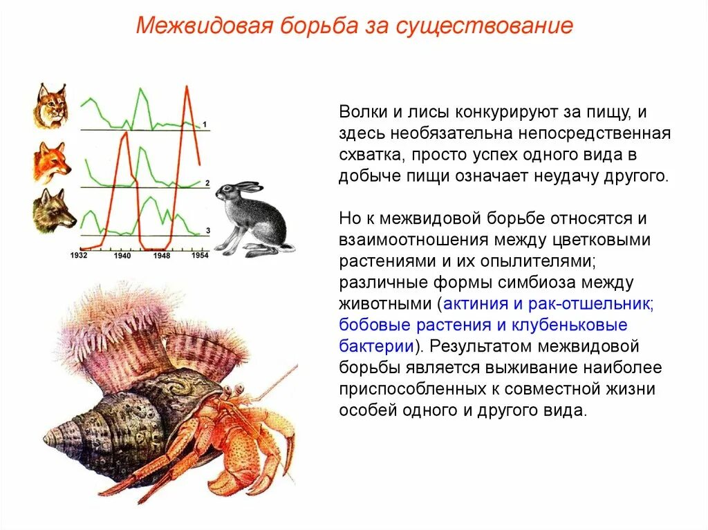 Межвидовая борьба за существование. Межвидовая борьба паразитизм примеры. Межвидовая борьба за существование паразитизм. Межвидовая борьба между растениями. Борьба за существование волка