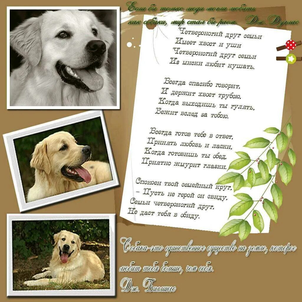 Стих про собаку. Стих пес. Красивые стихи про собак. Стих пес. Стих пес.